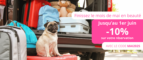 encart promotionnel de l'offre